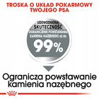 ROYAL CANIN CCN Medium Dental Care karma sucha dla psów dorosłych 10 kg