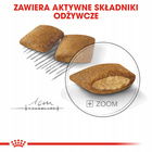 ROYAL CANIN CCN Mini Exigent karma sucha dla psów dorosłych 3 kg