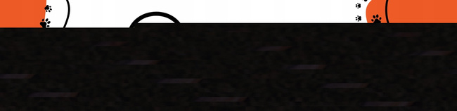 Gaczoo Przysmak dla kota Szprotki Bałtyckie 50g naturalny gryzak