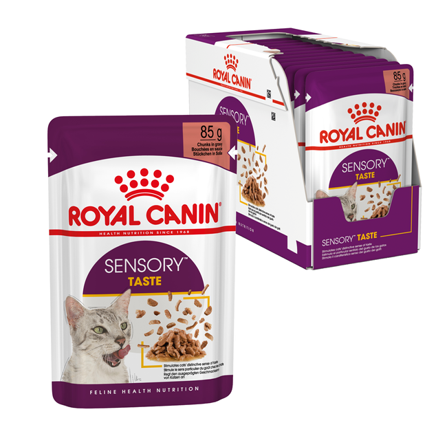 ROYAL CANIN Sensory Taste karma mokra kawałki dla kotów dorosłych 12 x 85 g