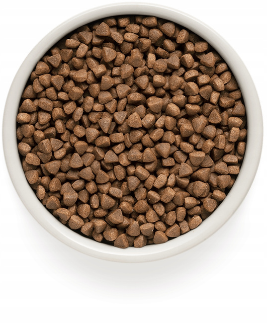 GRANDORF INDOOR Adult Karma sucha dla kota Jagnięcina Indyk 400g