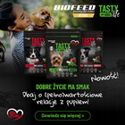 BIOFEED TASTY DOGS LIFE Medium Large Wołowina karma dla psa sucha 12 kg