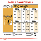 ROYAL CANIN Great Dane Adult karma sucha dla psów dorosłych 12 kg