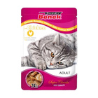 BENEK Saszetka Karma mokra dla kota Kurczak 100g