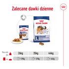 ROYAL CANIN Maxi Adult karma mokra w sosie dla psów dorosłych 10 x 140 g