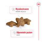 ROYAL CANIN Mini Adult karma sucha dla psów dorosłych, ras małych 8 kg