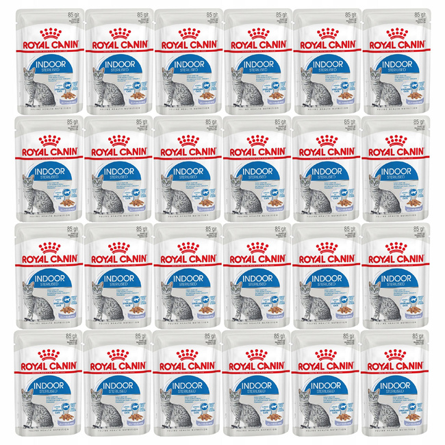 ROYAL CANIN Indoor Sterilised karma mokra w galaretce dla kota 24 x 85g