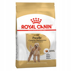 ROYAL CANIN Poodle Adult karma sucha dla psów dorosłych rasy 1,5 kg