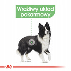 ROYAL CANIN CCN Medium Digestive Care karma sucha dla psów dorosłych 12 kg