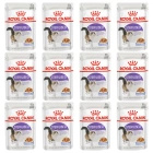 ROYAL CANIN Sterilised karma mokra w galaretce dla kotów dorosłych 12 x 85g