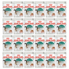 ROYAL CANIN Instinctive +7 Gravy karma mokra w sosie dla kota 24 x 85g