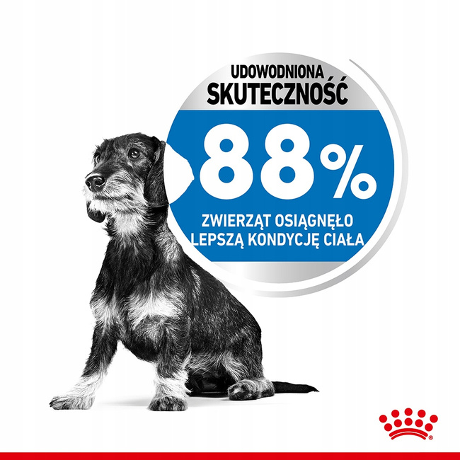 ROYAL CANIN Mini Light Care karma sucha dla psów dorosłych, ras małych 3 kg