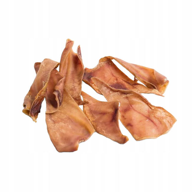 GACZOO 100% Naturalny przysmak dla psa Ucho Wieprzowe rozmiar M 10 szt gryzak