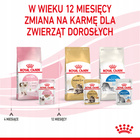 ROYAL CANIN Kitten Instinctive karma mokra pasztet dla kociąt 12 x 85 g