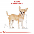 ROYAL CANIN Chihuahua Adult karma sucha dla psów dorosłych 0,5 kg