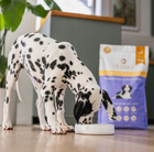 PERRO Junior karma sucha dla szczeniąt Wołowina z Batatami 9 kg bez zbóż