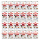ROYAL CANIN Instinctive Jelly karma mokra w galaretce dla kota 24 x 85g