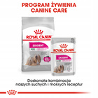 ROYAL CANIN CCN Mini Exigent karma mokra- pasztet dla psów 12 x 85g