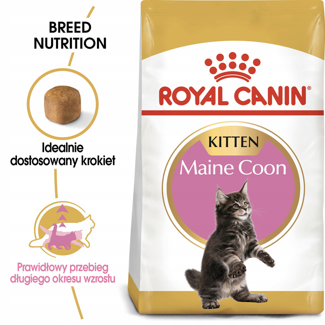 ROYAL CANIN Maine Coon Kitten karma sucha dla kociąt, do 15 miesiąca 4 kg
