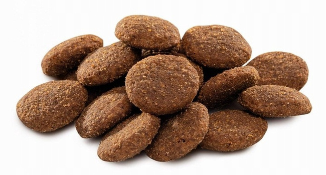 Brit By Nature Premium 15 kg Adult XL Chicken sucha karma dla psa