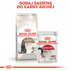 ROYAL CANIN Ageing +12 karma sucha dla kotów sterylizowanych 4 kg