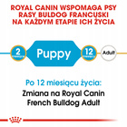 ROYAL CANIN French Bulldog Puppy karma sucha dla szczeniąt 3 kg