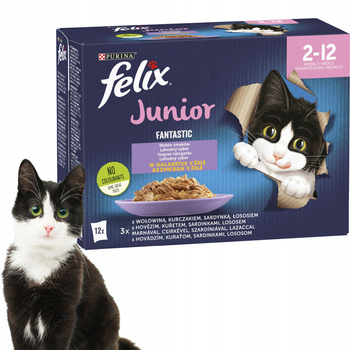 PURINA Felix JUNIOR karma mokra dla kociąt mix smaków 12 x 85g