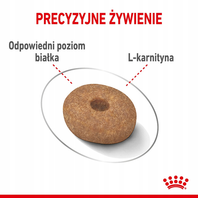 ROYAL CANIN Mini Light Care karma sucha dla psów dorosłych, ras małych 3 kg