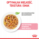ROYAL CANIN Kitten Instinctive karma mokra w galaretce dla kociąt 24 x 85g