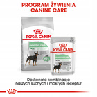 ROYAL CANIN CCN Mini Digestive Care karma sucha dla psów dorosłych 8 kg