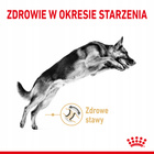 Royal Canin German Shepherd Adult 5+ karma sucha dla dorosłych psów 12 kg