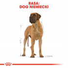 ROYAL CANIN Great Dane Adult karma sucha dla psów dorosłych 12 kg