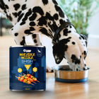 Gaczoo Miejska Miska bezzbożowa karma mokra dla psa Shish z Kurczaka 800g