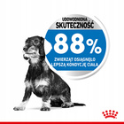 ROYAL CANIN Mini Light Care karma sucha dla psów dorosłych, ras małych 1 kg
