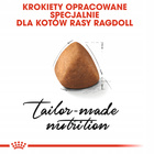 ROYAL CANIN Ragdol Adult karma sucha dla kotów dorosłych 10 kg