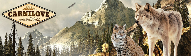 CARNILOVE CAT POUCH Mix smaków mokra karma dla kota 48 x 85g bezzbożowa