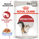 ROYAL CANIN Instinctive Jelly karma mokra w galaretce dla kota 24 x 85g