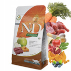 FARMINA N&D PUMPKIN zdrowa karma sucha dla kota Dziczyzna Jabłko 300g