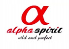 ALPHA SPIRIT Karma mokra dla psa Łosoś 400g