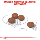 ROYAL CANIN CCN Mini Digestive Care karma sucha dla psów dorosłych 3 kg