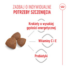 ROYAL CANIN Medium Starter Mother&Babydog karma sucha dla suk 15 kg