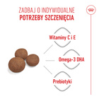 ROYAL CANIN Medium Puppy karma sucha dla szczeniąt 15 kg