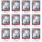 RAW PALEO Karma mokra dla kota Wołowina 12 x 100g Bezzbożowa