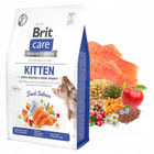 BRIT CARE KITTEN IMMUNITY Łosoś karma sucha dla kociąt 2 kg bezzbożowa