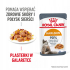 ROYAL CANIN Hair&Skin Jelly karma mokra w galaretce dla kota 24 x 85g