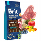 Brit by Nature Premium 15 kg Sensitive Lamb sucha karma dla psa