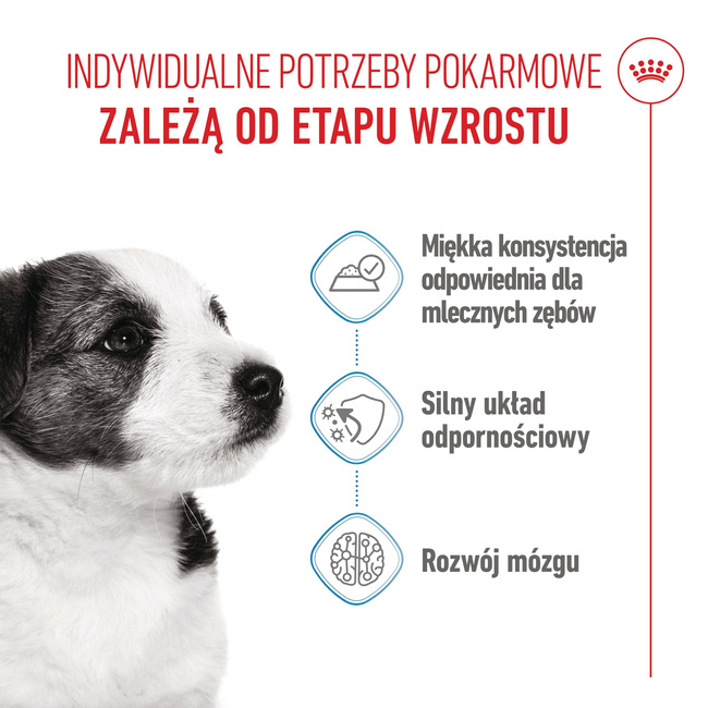 ROYAL CANIN Mini Puppy karma mokra w sosie dla szczeniąt 12 x 85 g