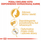 ROYAL CANIN Norvegian Forest Cat Adult karma sucha dla kotów dorosłych 2 kg