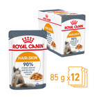 ROYAL CANIN Hair&Skin Jelly karma mokra w galaretce dla kota 24 x 85g