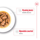 ROYAL CANIN Maxi Adult karma mokra w sosie dla psów dorosłych 10 x 140 g